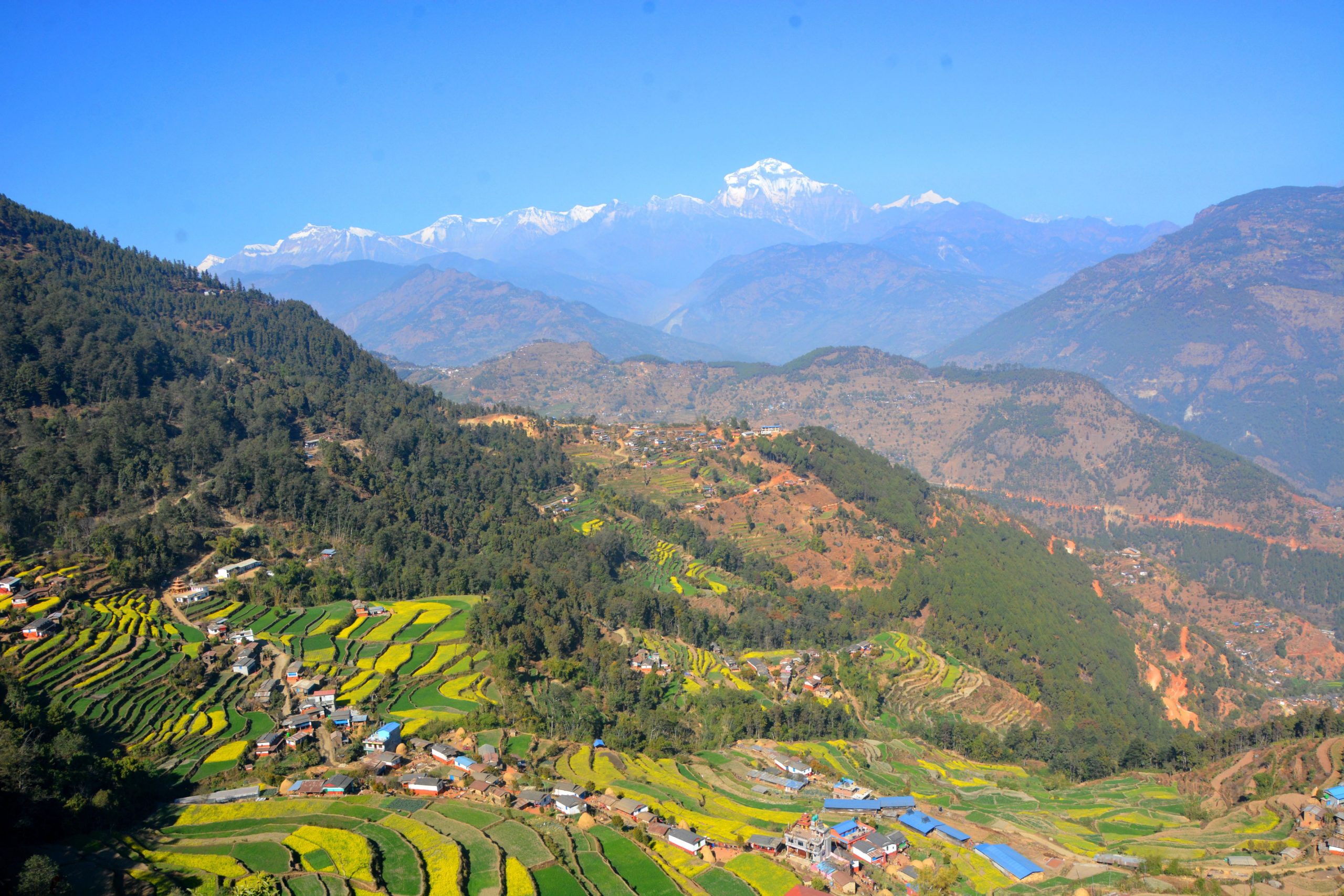 धवलागिरि हिमालसहितको मनोरम दृश्य