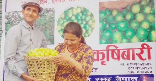 कागती खेती अभियानमा चितवन गौरीगञ्जका ज्ञानहरि