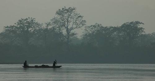 नारायणी नदीको भङ्गालोमा नयाँ प्रजातिक चरा भेटियो