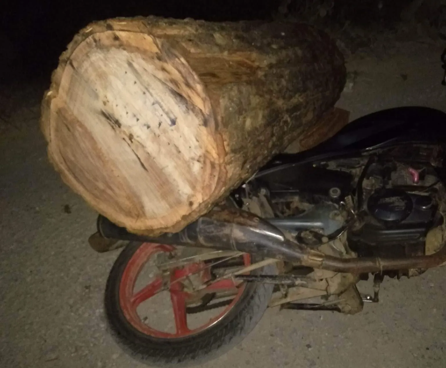 चितवनमा सालको गोलियासहित तीन मोटरसाइकल प्रहरीको नियन्त्रणमा