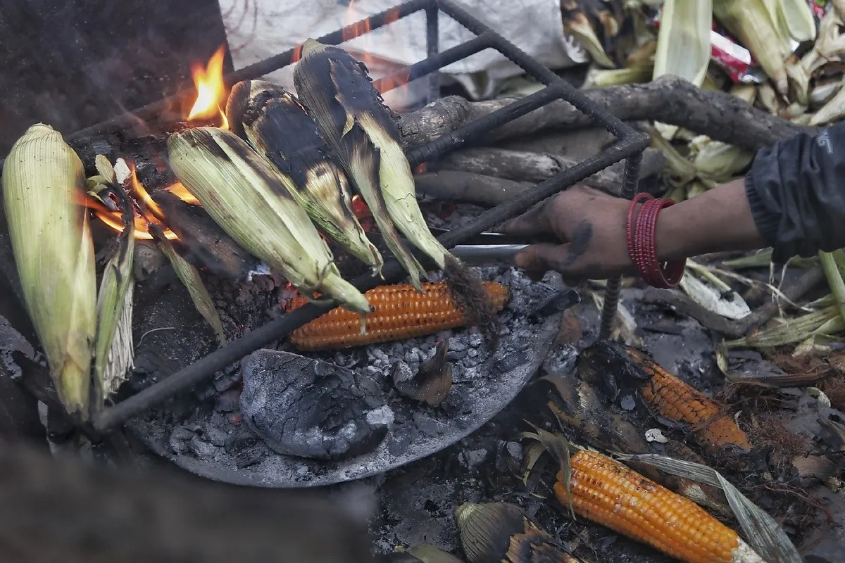 गैँडाकोटको व्यस्त सडकमा मकै पोलेर गुजारा