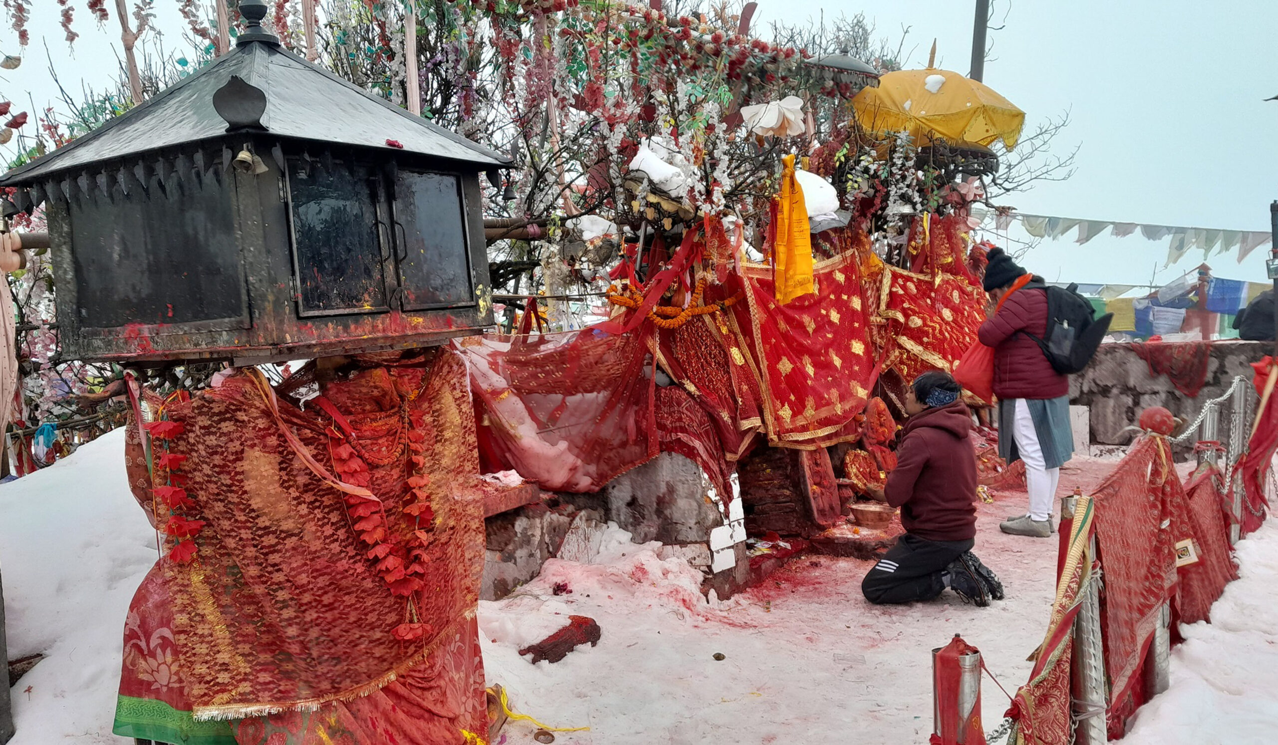 पाथीभरा देवी