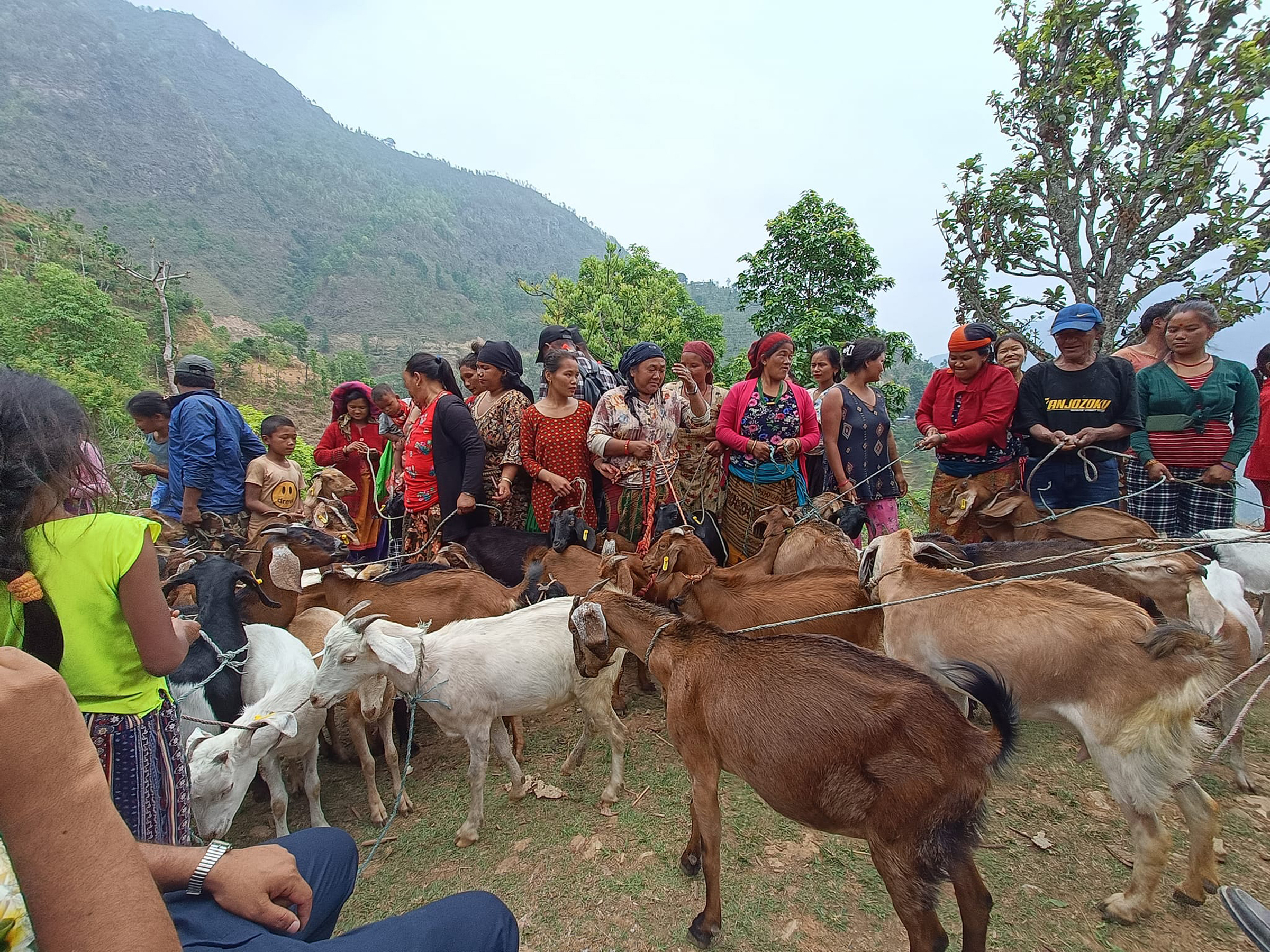 अनुदानमा बाख्रा पाएपछि कृषक खुसी