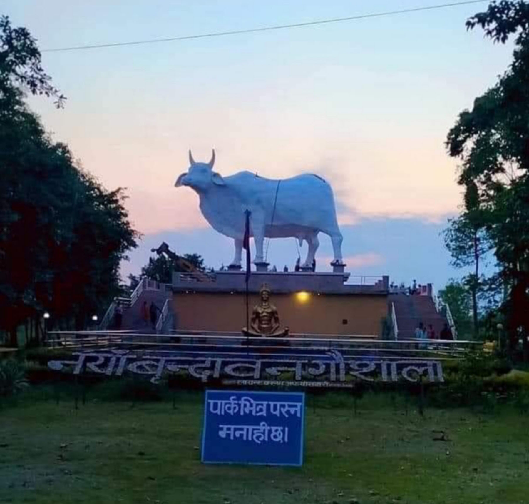 विश्वकै अग्लो गाईको प्रतिमा