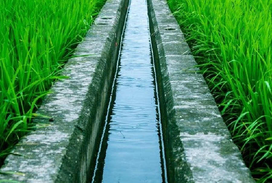 चितवनका तीन हजार दुई सय बिघा जग्गा सिञ्चित