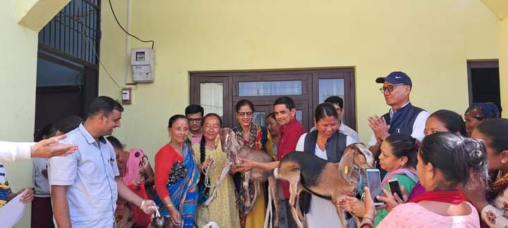 कालिका नगरपालिकाद्वारा विपन्न एकल महिलालाई बाख्रा वितरण