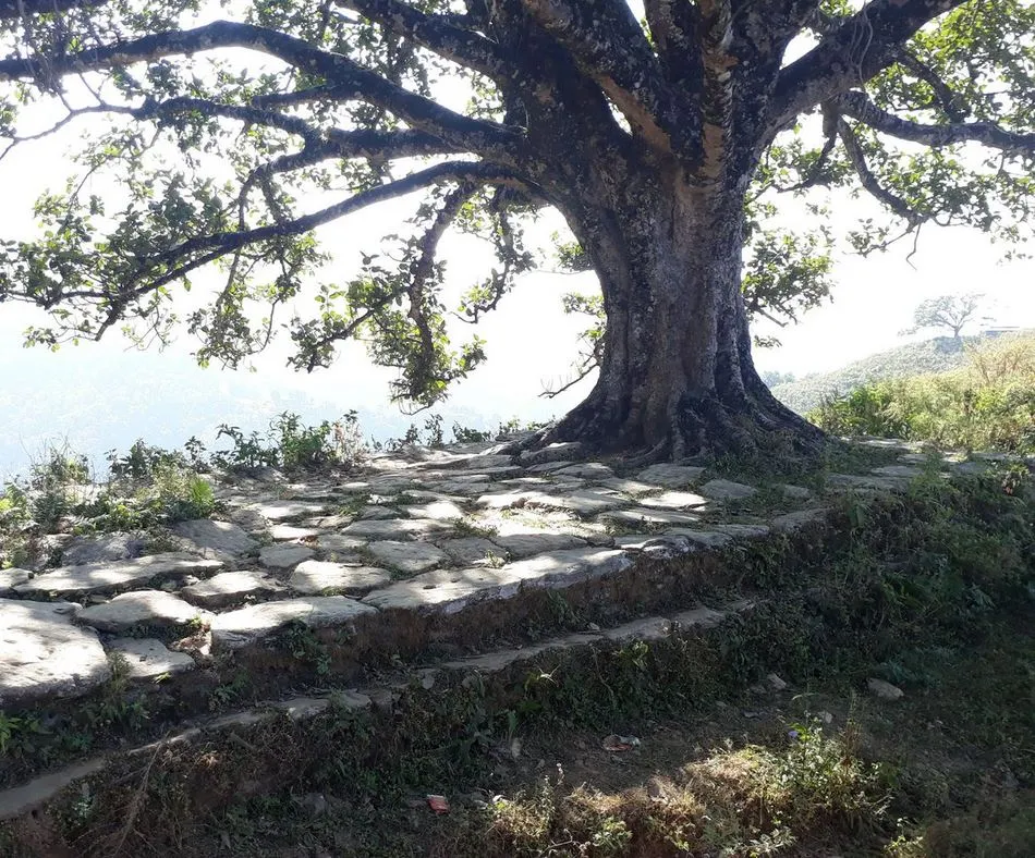 गाउँका चौतारीमा निःशुल्क इन्टरनेट