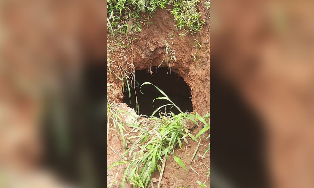 आँगन नजिकै अचानक देखियो भ्वाङ, स्थानीय त्रसित