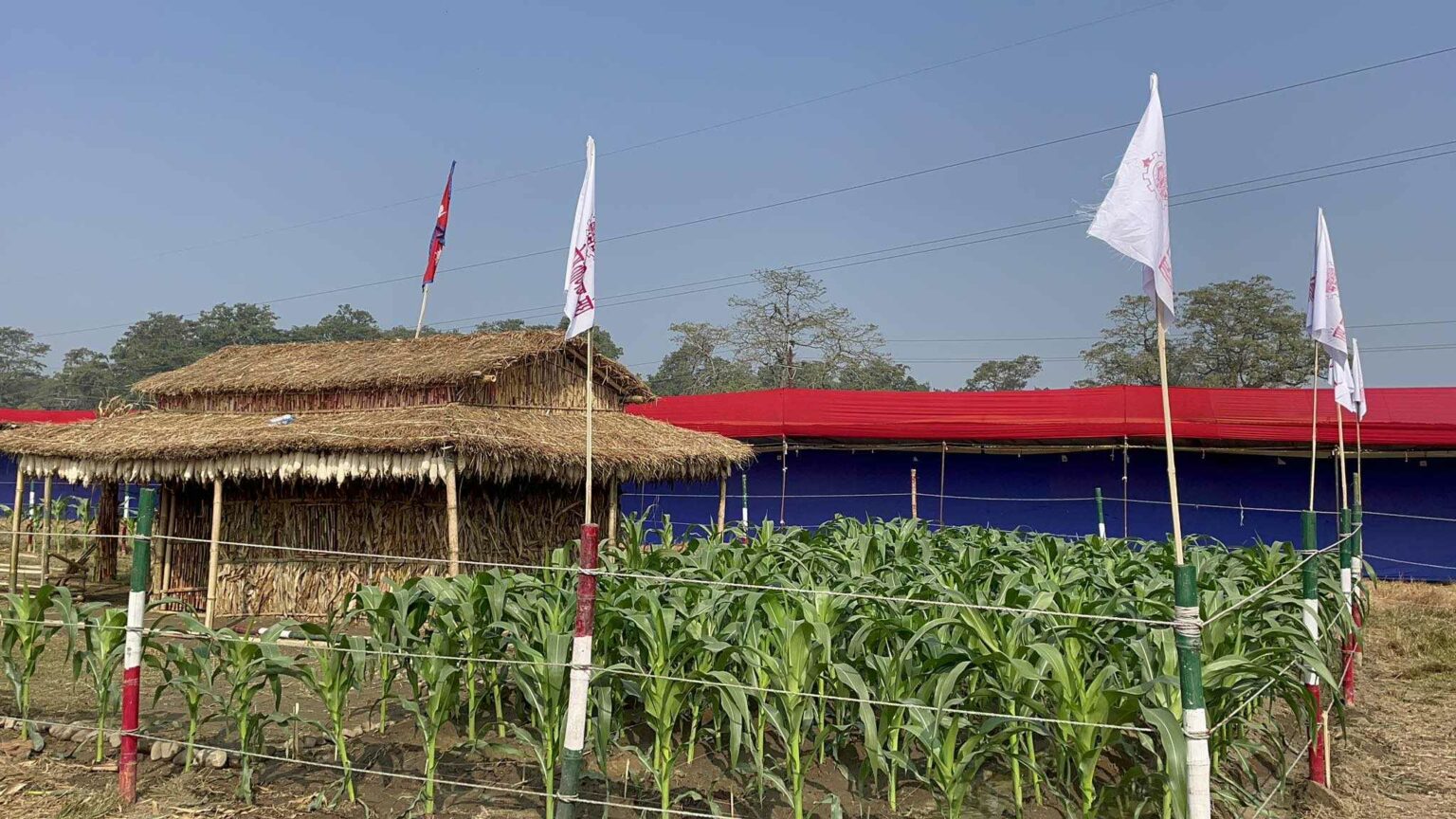 रत्ननगर महोत्सव: मकै एक परिकार र प्रयाेग अनेक