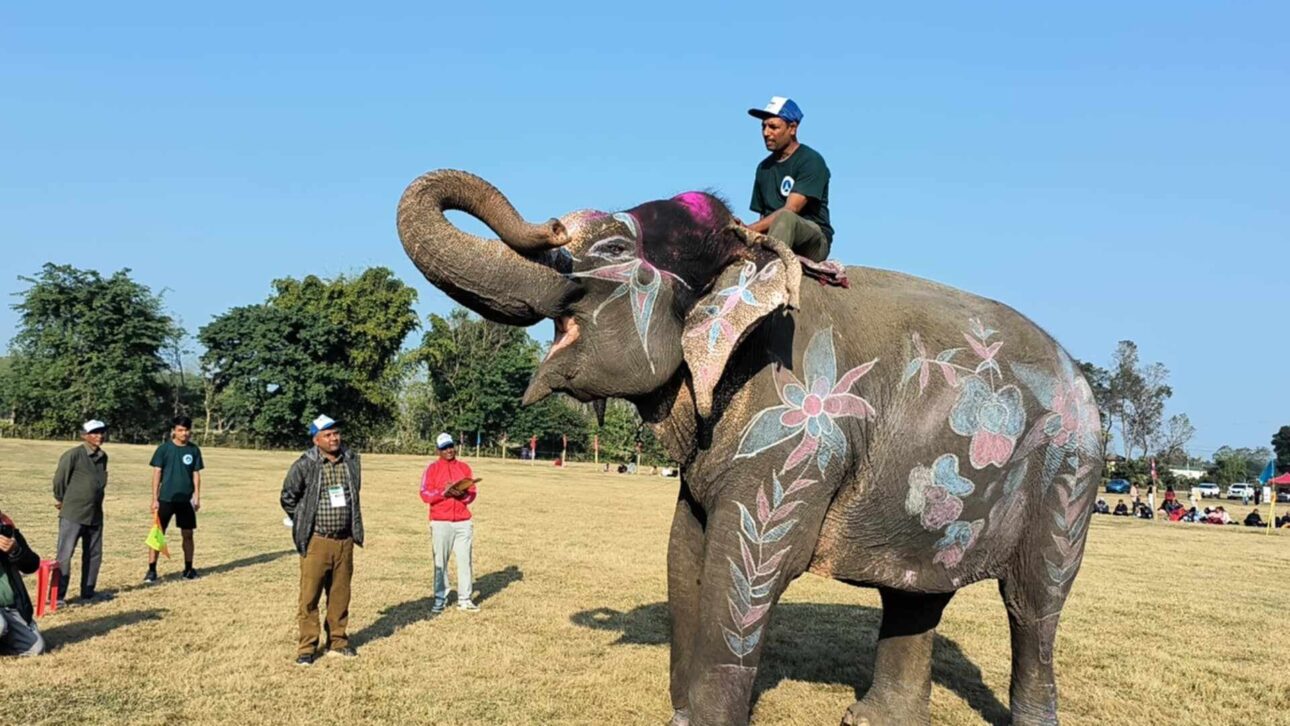 हात्ती महोत्सव: विजुलीकलीलाई हात्ती सुन्दरीको ताज