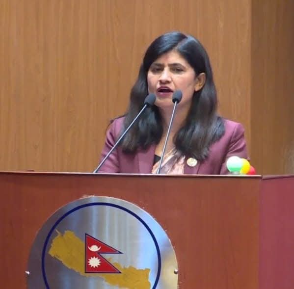 राष्ट्रियसभा सदस्य  न्यौपाने संघीय मामिला तथा सामान्य प्रशासनमन्त्रीमा नियुक्त