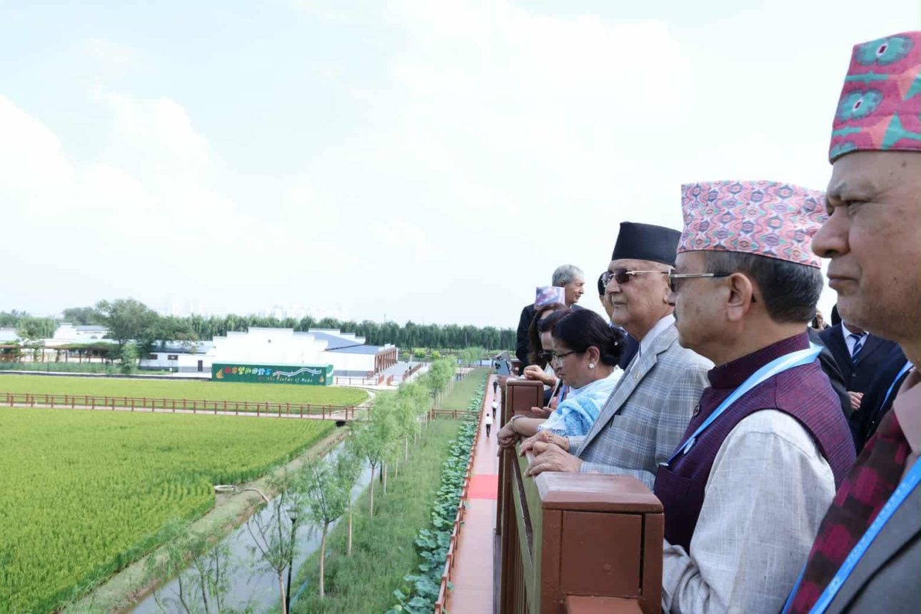 प्रधानमन्त्री ओलीद्वारा चीनको धान उत्पादन विशेष क्षेत्रको अवलोकन