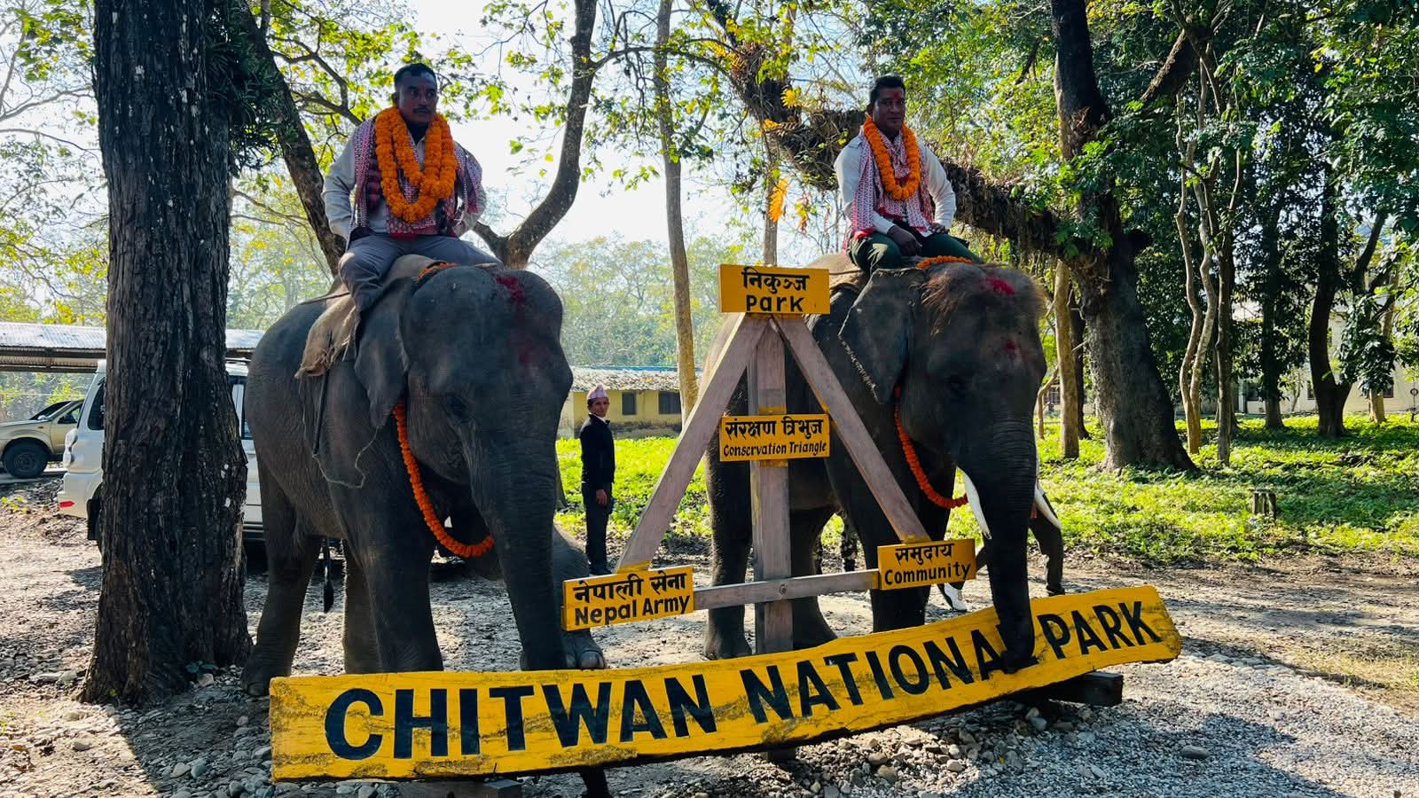 नेपाल सरकारले कतारलाई उपहार दिन लागेका दुईवटा हात्तीको सौराहाबाट गरियो बिदाइ